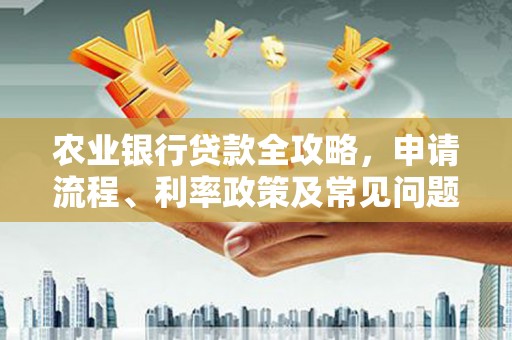 伍家岗农业银行贷款全攻略，申请流程、利率政策及常见问题解析