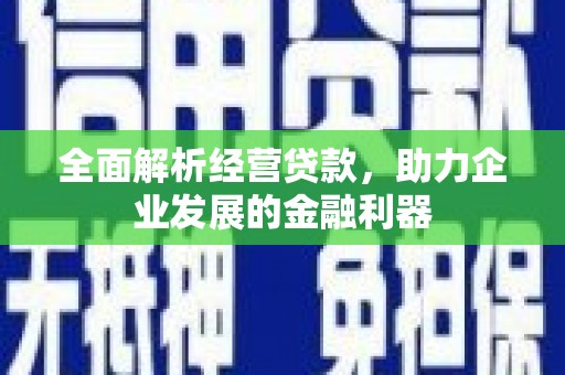 伍家岗全面解析经营贷款，助力企业发展的金融利器