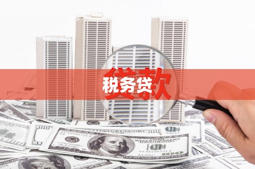 伍家岗税务贷