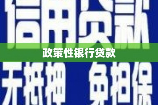 伍家岗政策性银行贷款