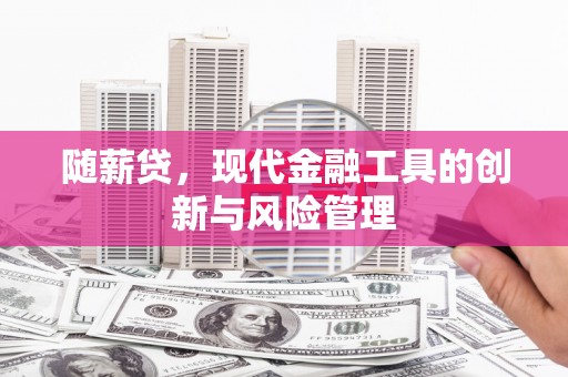 伍家岗随薪贷，现代金融工具的创新与风险管理
