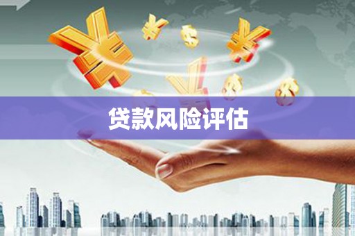 伍家岗贷款风险评估