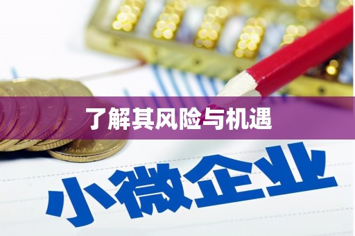 伍家岗了解其风险与机遇