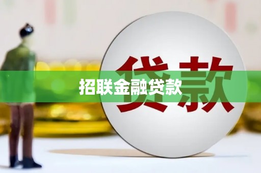 伍家岗招联金融贷款