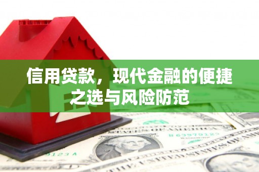 伍家岗信用贷款，现代金融的便捷之选与风险防范