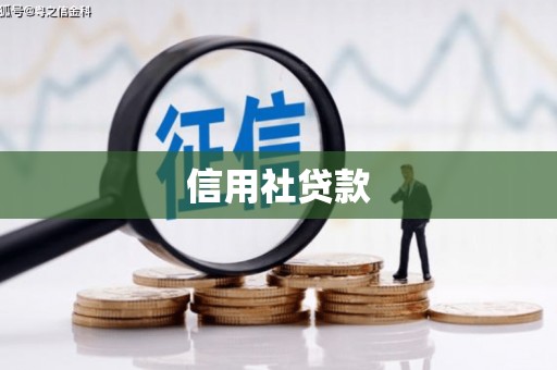 伍家岗信用社贷款