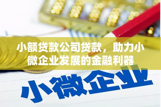 伍家岗小额贷款公司贷款，助力小微企业发展的金融利器