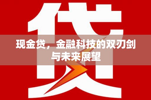伍家岗现金贷，金融科技的双刃剑与未来展望