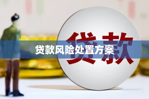 伍家岗贷款风险处置方案