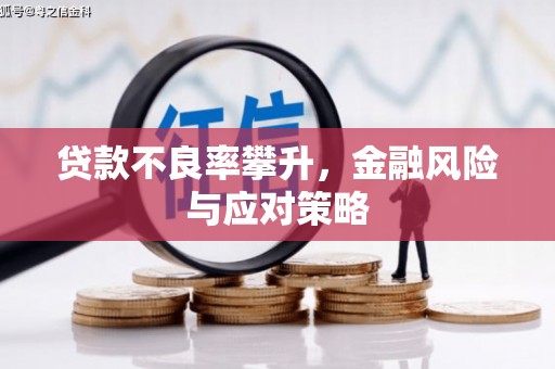 伍家岗贷款不良率攀升，金融风险与应对策略