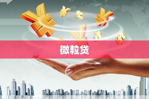伍家岗微粒贷