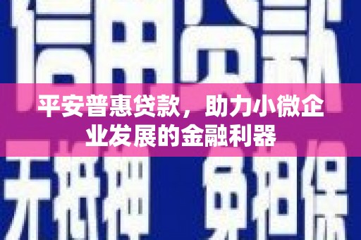 伍家岗平安普惠贷款，助力小微企业发展的金融利器