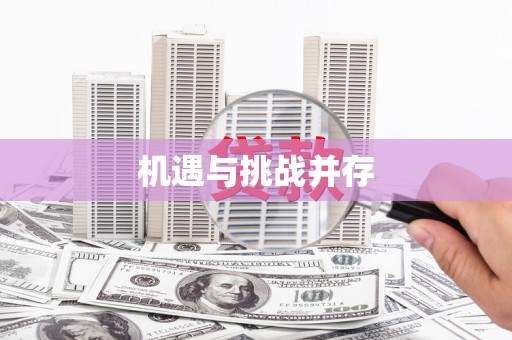 伍家岗机遇与挑战并存