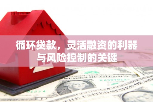 伍家岗循环贷款，灵活融资的利器与风险控制的关键
