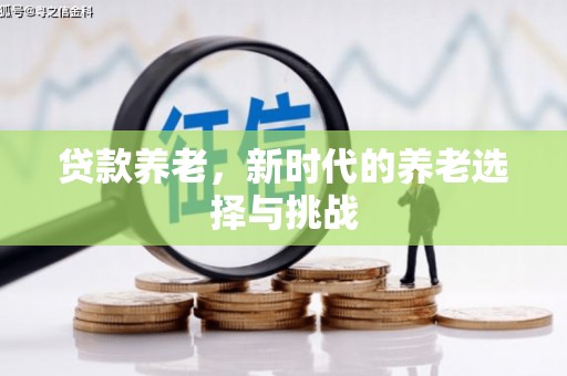 伍家岗贷款养老，新时代的养老选择与挑战
