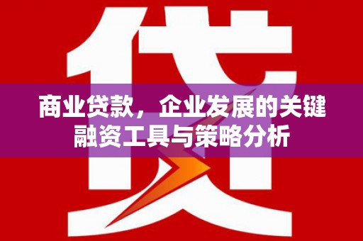 伍家岗商业贷款，企业发展的关键融资工具与策略分析