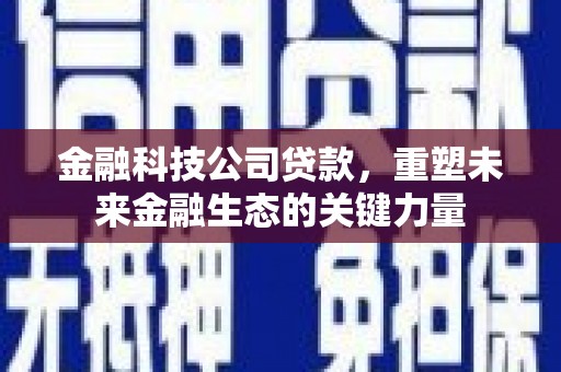 伍家岗金融科技公司贷款，重塑未来金融生态的关键力量