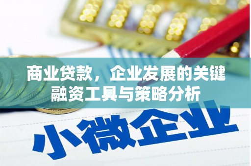 伍家岗商业贷款，企业发展的关键融资工具与策略分析