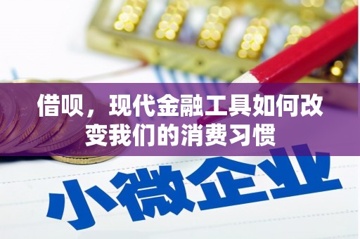 伍家岗借呗，现代金融工具如何改变我们的消费习惯