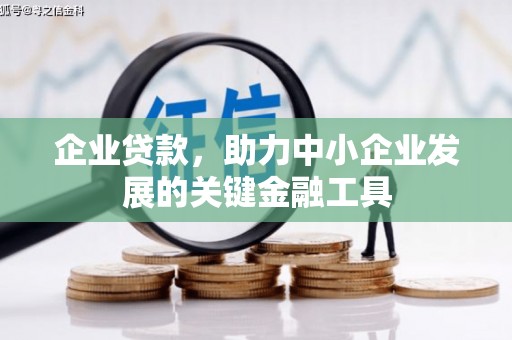 伍家岗企业贷款，助力中小企业发展的关键金融工具