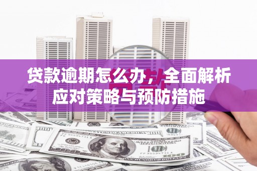 伍家岗贷款逾期怎么办，全面解析应对策略与预防措施