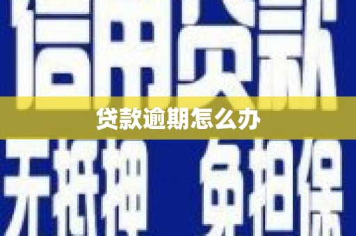 伍家岗贷款逾期怎么办