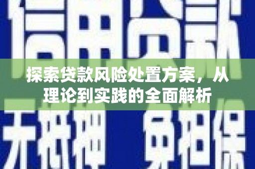 伍家岗探索贷款风险处置方案，从理论到实践的全面解析
