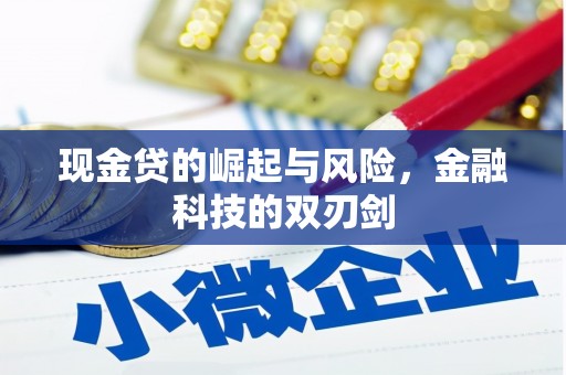 伍家岗现金贷的崛起与风险，金融科技的双刃剑