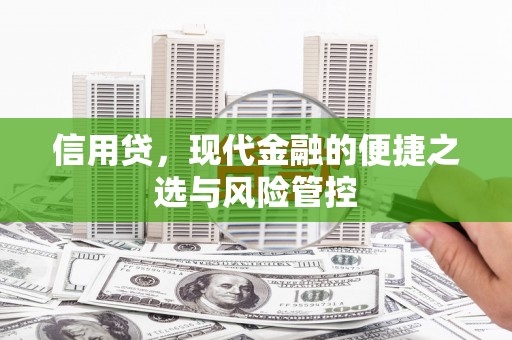 伍家岗信用贷，现代金融的便捷之选与风险管控