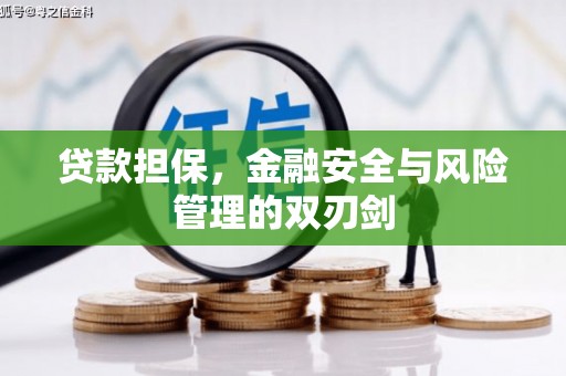 伍家岗贷款担保，金融安全与风险管理的双刃剑