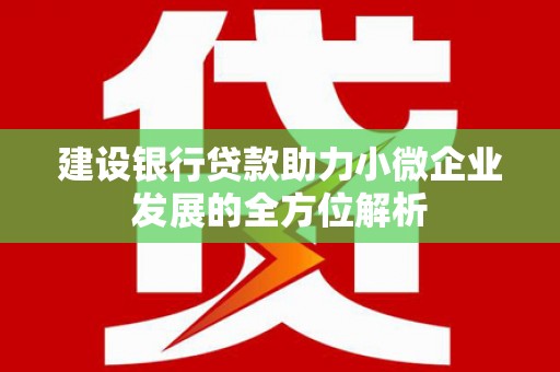 伍家岗建设银行贷款助力小微企业发展的全方位解析