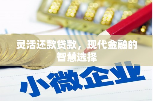 伍家岗灵活还款贷款，现代金融的智慧选择