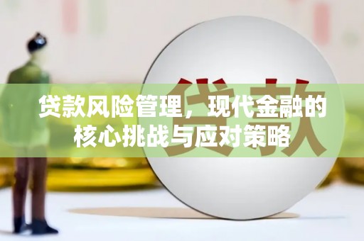 伍家岗贷款风险管理，现代金融的核心挑战与应对策略