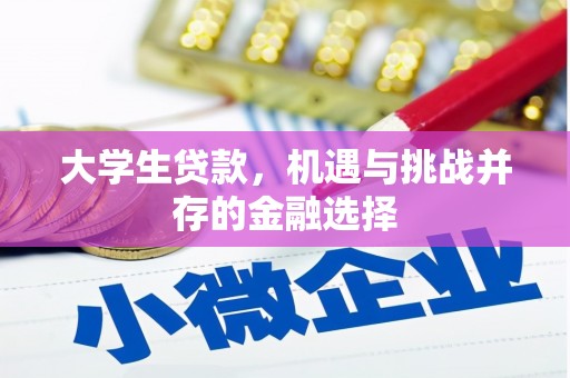 伍家岗大学生贷款，机遇与挑战并存的金融选择