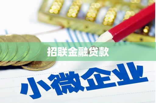 伍家岗招联金融贷款