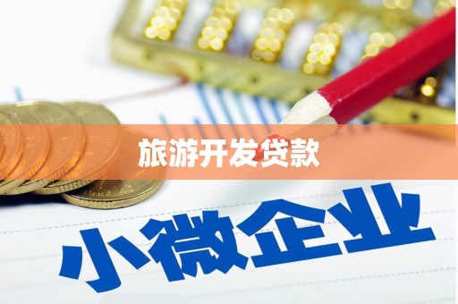 伍家岗旅游开发贷款