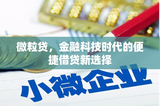 伍家岗微粒贷，金融科技时代的便捷借贷新选择
