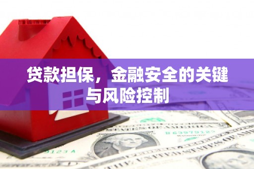 伍家岗贷款担保，金融安全的关键与风险控制