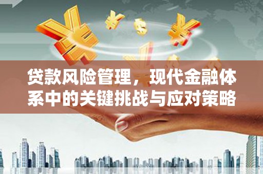 伍家岗贷款风险管理，现代金融体系中的关键挑战与应对策略