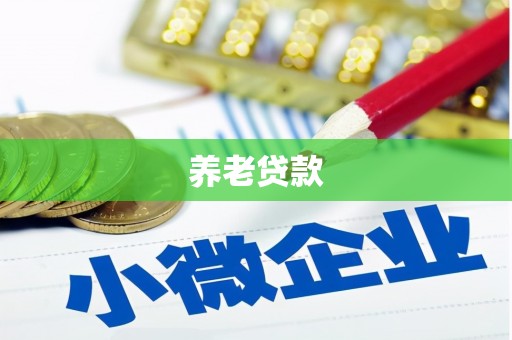伍家岗养老贷款