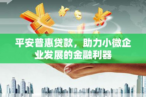伍家岗平安普惠贷款，助力小微企业发展的金融利器
