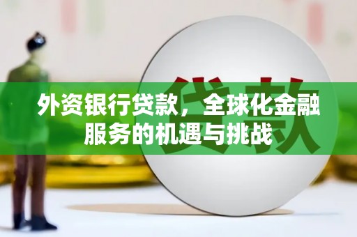 伍家岗外资银行贷款，全球化金融服务的机遇与挑战