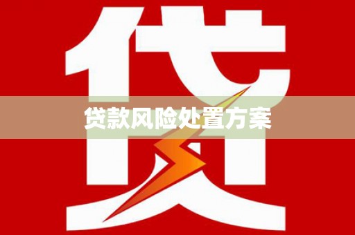 伍家岗贷款风险处置方案
