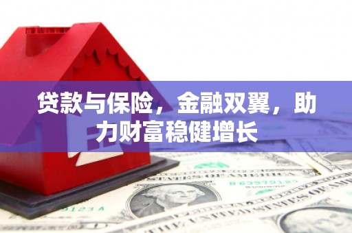 伍家岗贷款与保险，金融双翼，助力财富稳健增长