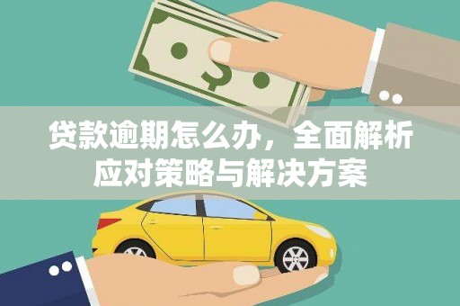伍家岗贷款逾期怎么办，全面解析应对策略与解决方案